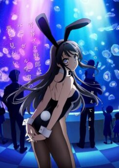 Этот глупый свин не понимает мечту девочки-зайки / Seishun Buta Yaro wa Bunny Girl-senpai no Yume wo Minai
