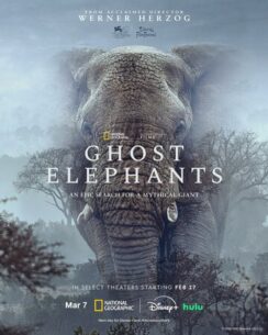 Слоны-призраки / Ghost Elephants
