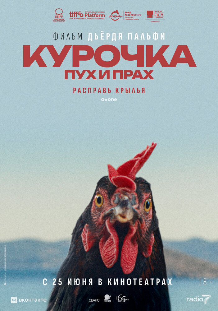 Курочка. Пух и прах / Kota